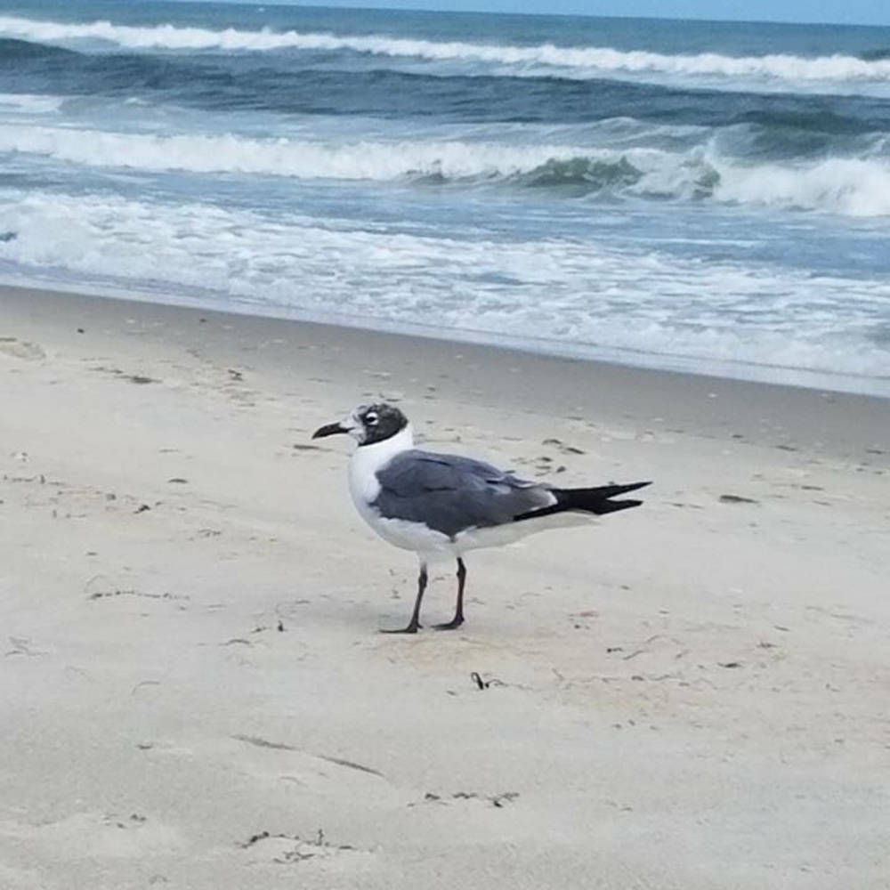 Meet your Posher, Kathy